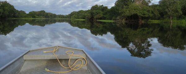 Amazonía - Sputnik Mundo