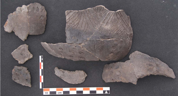 Descubren en Ecuador la cerámica de una cultura desconocida - Sputnik Mundo