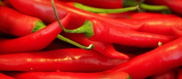 Chile picante  - Sputnik Mundo