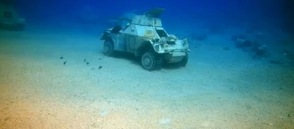 Museo subacuático en Jordania Museo subacuático en Jordania - Sputnik Mundo