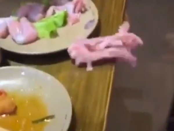 ¿Invasión zombi? Un pollo 'cobra vida' y salta del plato ¿Invasión zombi? Un pollo 'cobra vida' y salta del plato - Sputnik Mundo