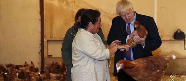 Boris Johnson, primer ministro del Reino Unido - Sputnik Mundo