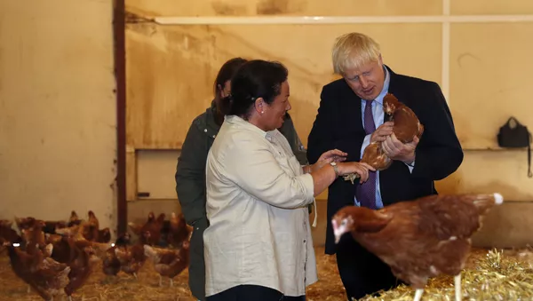 Boris Johnson, primer ministro del Reino Unido - Sputnik Mundo