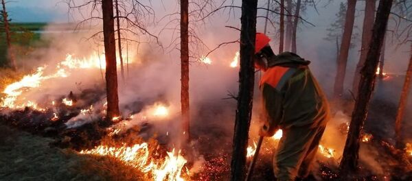 Incendios Forestales en Siberia, Rusia - Sputnik Mundo