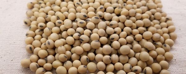 Soja - Sputnik Mundo