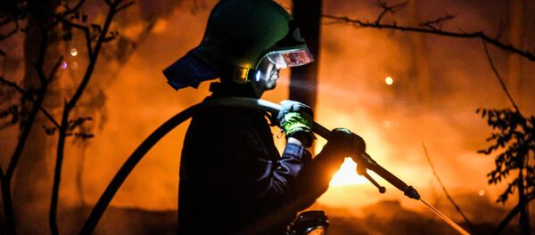 Los incendios forestales azotan distintos continentes - Sputnik Mundo