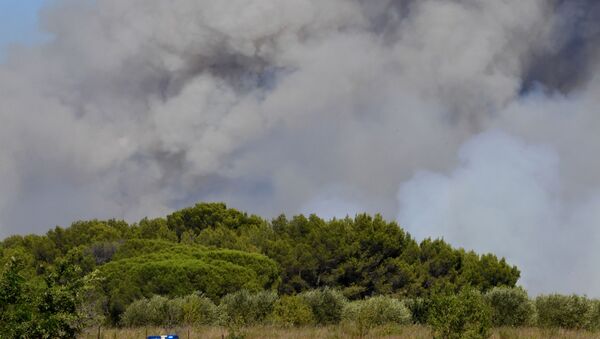 Lugar del siniestro de un avión anfibio en Francia - Sputnik Mundo