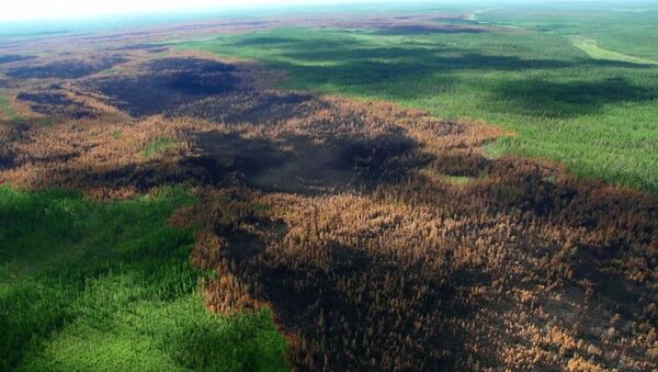 Consecuencias de incendios forestales en Siberia - Sputnik Mundo