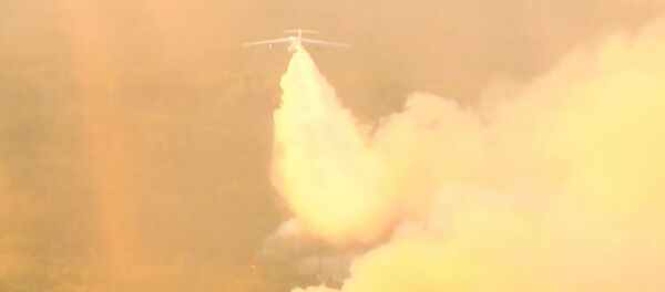 Los militares rusos siguen luchando contra los incendios que azotan Siberia - Sputnik Mundo