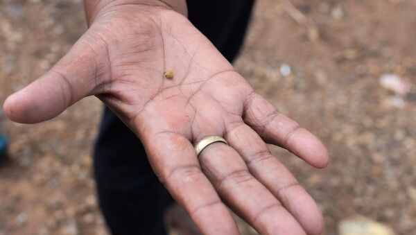 Un hombre con una pepita de oro - Sputnik Mundo