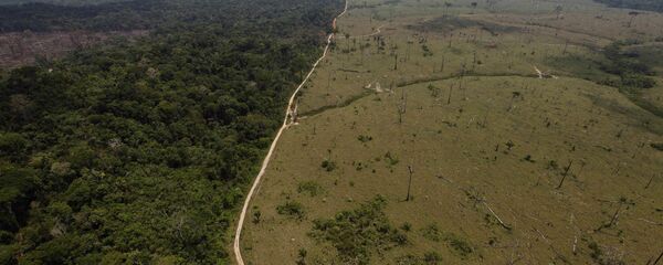 Una área deforestada en la Amazonía brasileña - Sputnik Mundo