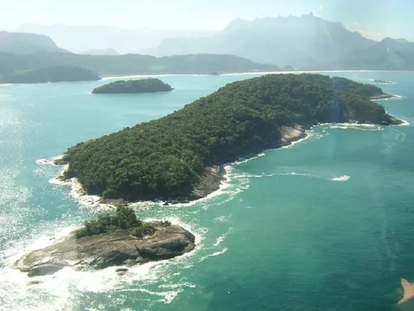 Bolsonaro sueña con construir una Cancún en el último reducto de selva atlántica de Brasil Bolsonaro sueña con construir una Cancún en el último reducto de selva atlántica de Brasil - Sputnik Mundo