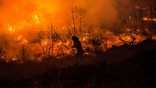 Los incendios en la isla griega de Eubea Los incendios en la isla griega de Eubea - Sputnik Mundo