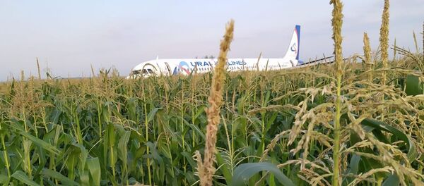 Un A321 aterriza de emergencia cerca de Moscú Un A321 aterriza de emergencia cerca de Moscú - Sputnik Mundo