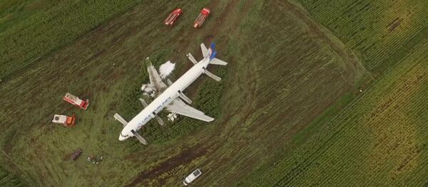 Un avión de pasajeros hizo un aterrizaje de emergencia en la región de Moscú Un avión de pasajeros hizo un aterrizaje de emergencia en la región de Moscú - Sputnik Mundo