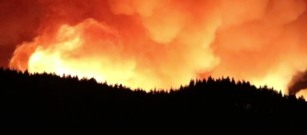 El virulento incendio forestal de Gran Canaria El virulento incendio forestal de Gran Canaria - Sputnik Mundo