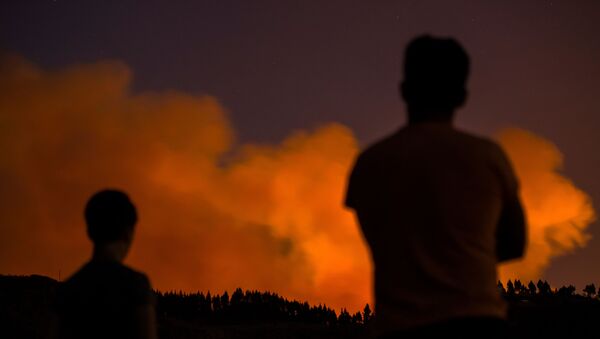 Incendio forestal en Gran Canaria, España - Sputnik Mundo