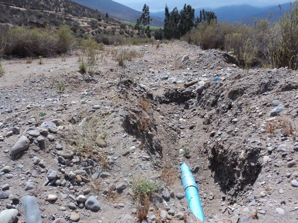 El lado oscuro del aguacate: la desgracia de casi medio millón de personas en Chile - Sputnik Mundo