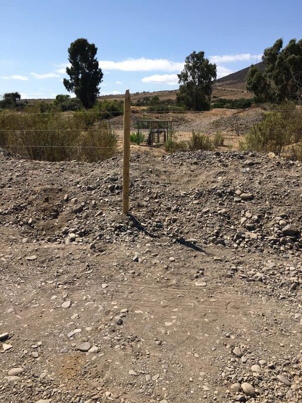 El lado oscuro del aguacate: la desgracia de casi medio millón de personas en Chile - Sputnik Mundo