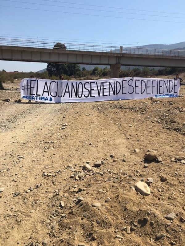 El lado oscuro del aguacate: la desgracia de casi medio millón de personas en Chile - Sputnik Mundo