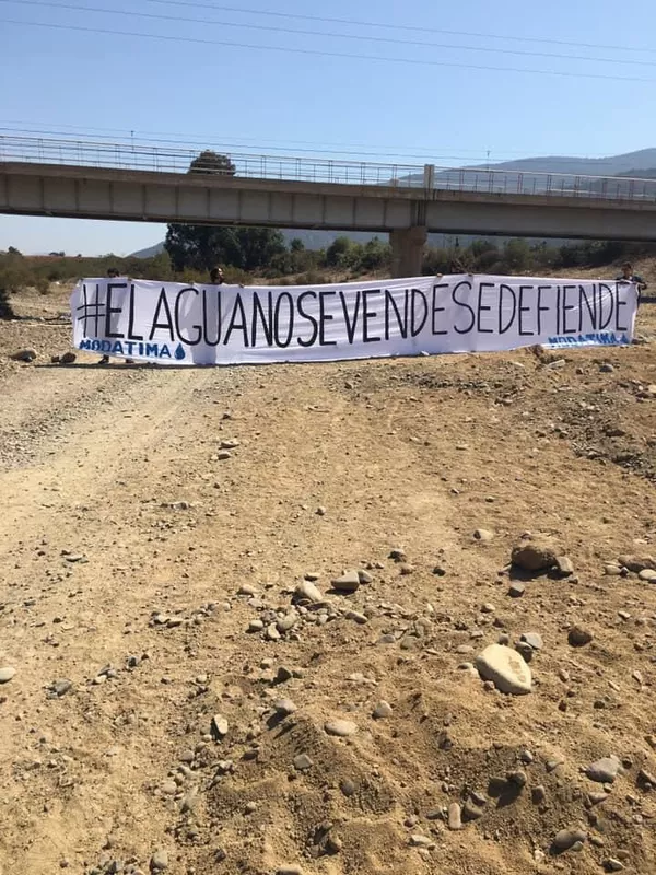 El lado oscuro del aguacate: la desgracia de casi medio millón de personas en Chile El lado oscuro del aguacate: la desgracia de casi medio millón de personas en Chile - Sputnik Mundo