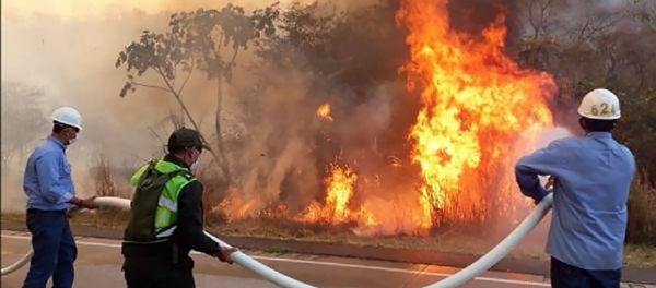 Incendios en el departamento de Santa Cruz, Bolvia Incendios en el departamento de Santa Cruz, Bolvia - Sputnik Mundo