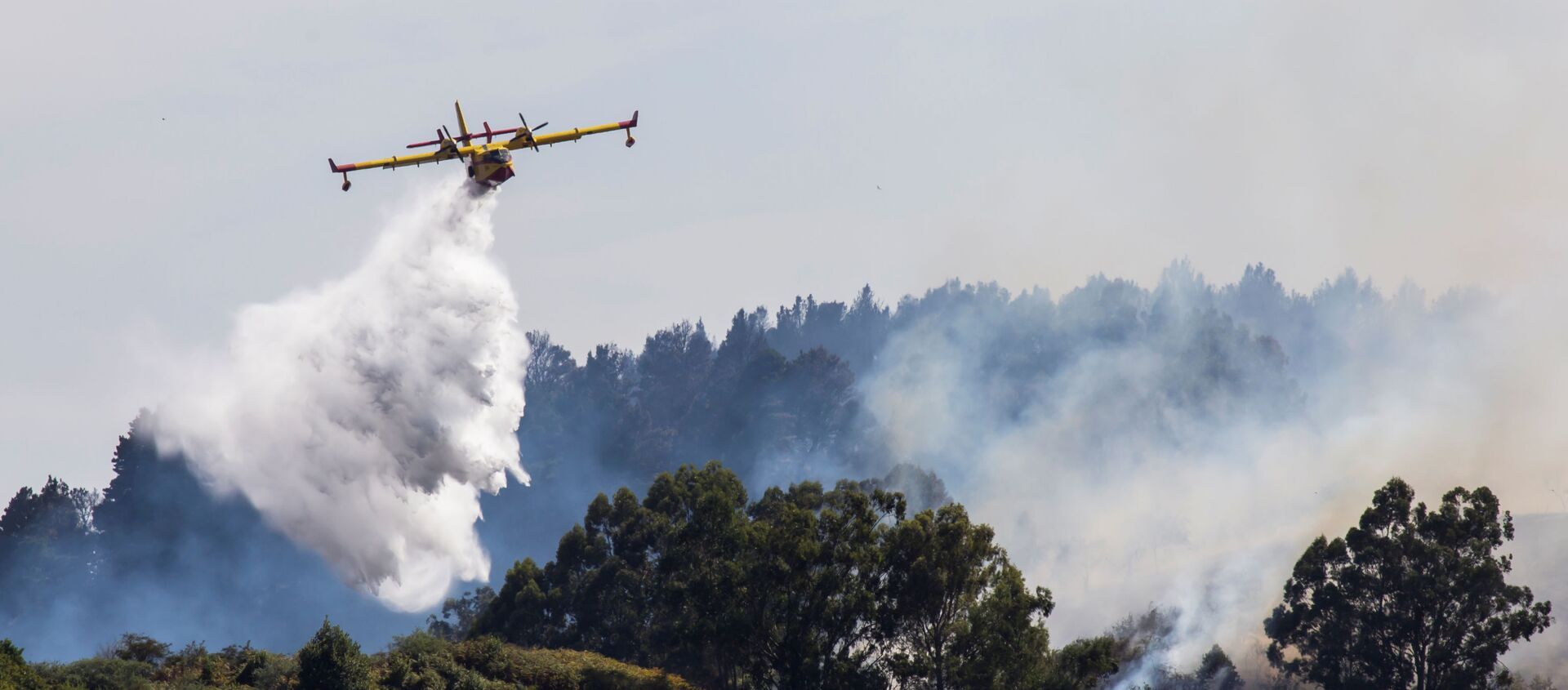 Incendio forestal en Gran Canaria, España - Sputnik Mundo, 1920, 20.08.2019