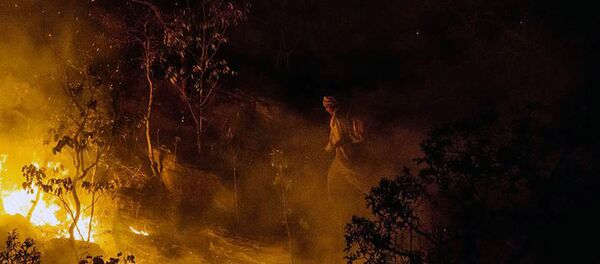 Incendios forestales en Brasil, foto de archivo - Sputnik Mundo