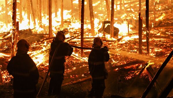 Incendio en Brasil (archivo) - Sputnik Mundo