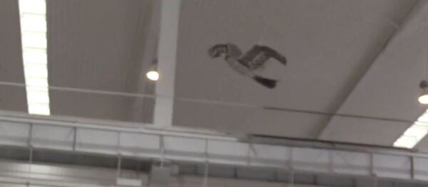 Dron chino Jinete del Viento Dron chino Jinete del Viento - Sputnik Mundo