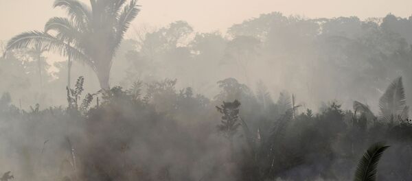 Los incendios en la Amazonía - Sputnik Mundo
