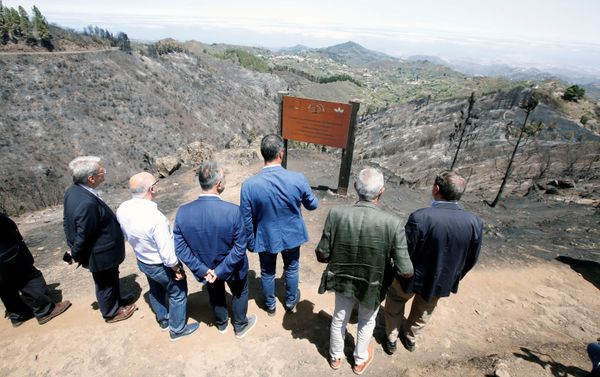 La visita de Pedro Sánchez a la isla de Gran Canaria tras en incendio La visita de Pedro Sánchez a la isla de Gran Canaria tras en incendio - Sputnik Mundo