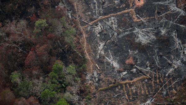 Incendios en Amazonía - Sputnik Mundo