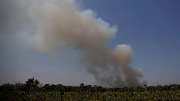 Incendios en la Amazonía - Sputnik Mundo
