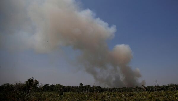 Incendios en la Amazonía - Sputnik Mundo