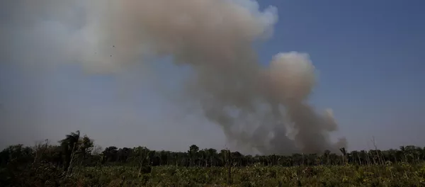 Incendios en la Amazonía Incendios en la Amazonía - Sputnik Mundo