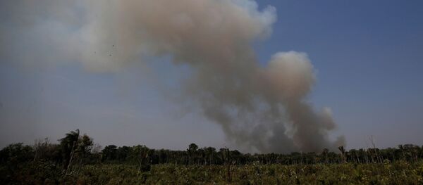 Incendios en la Amazonía - Sputnik Mundo