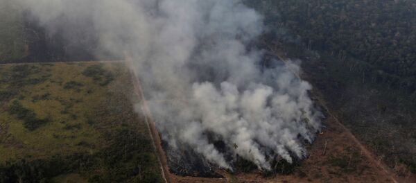 Incendios en la Amazonía Incendios en la Amazonía - Sputnik Mundo