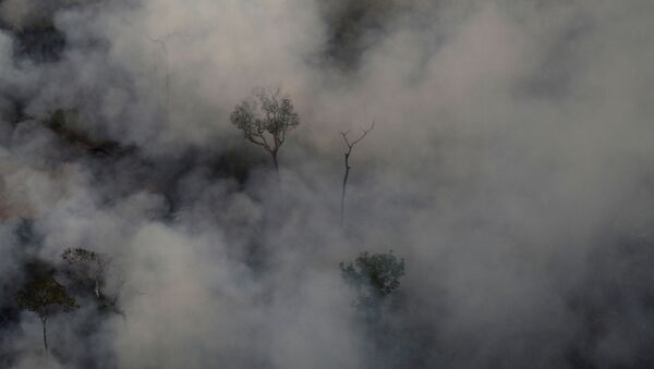 Incendios en la Amazonía - Sputnik Mundo