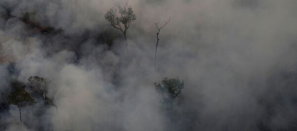 Incendios en la Amazonía - Sputnik Mundo