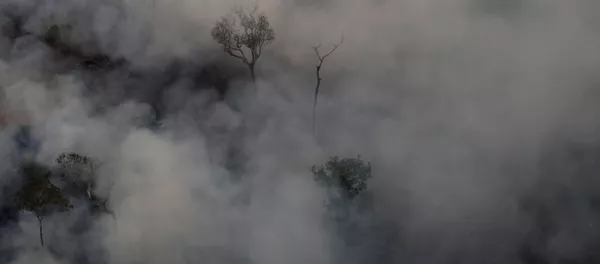 Incendios en la Amazonía Incendios en la Amazonía - Sputnik Mundo