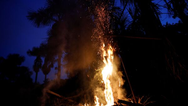 Incendios en la Amazonía - Sputnik Mundo