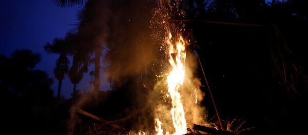 Incendios en la Amazonía - Sputnik Mundo