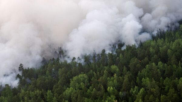 Incendios forestales (Archivo) - Sputnik Mundo