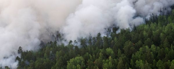 Incendios forestales (Archivo) Incendios forestales (Archivo) - Sputnik Mundo