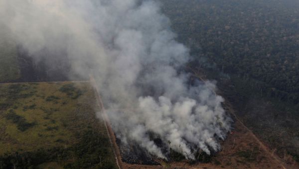 Incendio en un área de la selva amazónica cerca de Porto Velho, estado de Rondonia, Brasil. Incendio en un área de la selva amazónica cerca de Porto Velho, estado de Rondonia, Brasil. - Sputnik Mundo