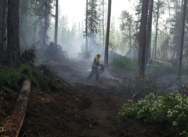 Tango, pelícanos e incendios forestales: las fotos más impactantes de la semana - Sputnik Mundo