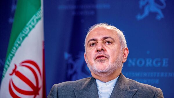 Mohamad Yavad Zarif, el canciller iraní - Sputnik Mundo