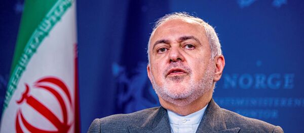 Mohamad Yavad Zarif, el canciller iraní - Sputnik Mundo