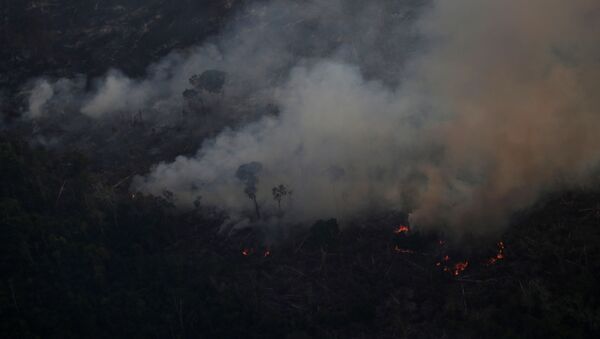 Incendios en la Amazonía - Sputnik Mundo